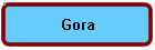 Gora