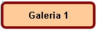 Galeria 1