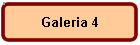 Galeria 4