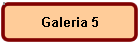 Galeria 5