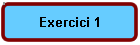Exercici 1